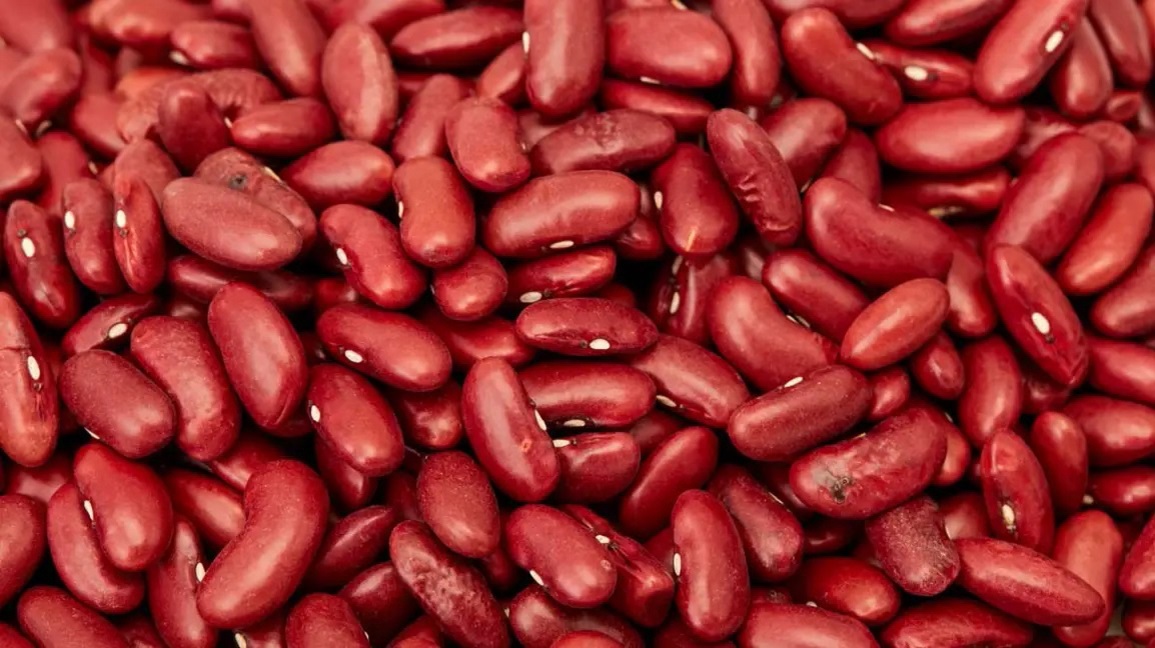 kidney-beans-1296x728-feature