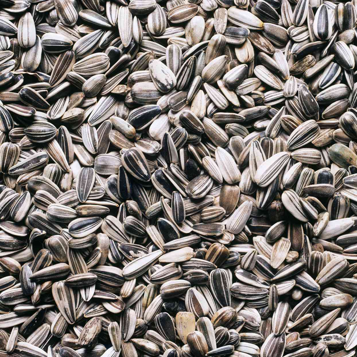 sunflower-seeds-square-a86a13fc532d4947a9ee580a97c77285