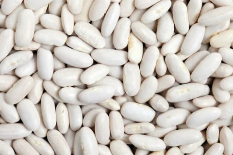 white-kidney-beans-500x500